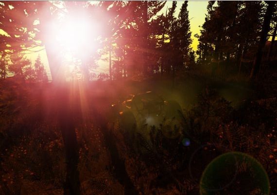 MetaTron EN Global Steam Digital Key