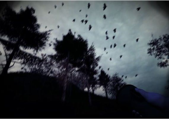 Light & Dark - Bundle EN Argentina Xbox One/Series Digital Key