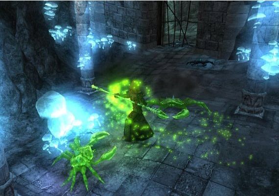 Avencast: Rise of the Mage EN/DE Global Steam Digital Key