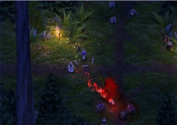 Magicka - Gamer Bundle DLC EN/RU Global Steam Digital Key