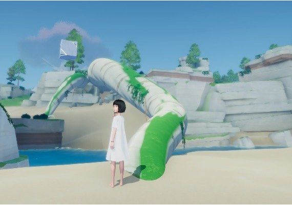 Ever Forward Argentina Xbox One/Series Digital Key