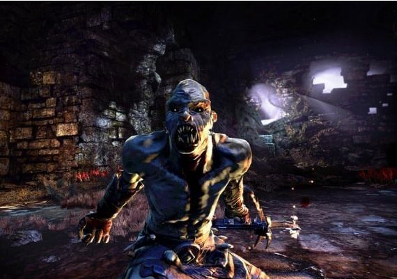 Hunted: The Demon's Forge EN/DE/FR/IT/ES EU Steam Digital Key