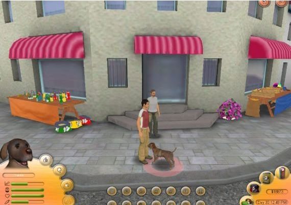 Paws and Claws: Pet School EN Global Steam Digital Key