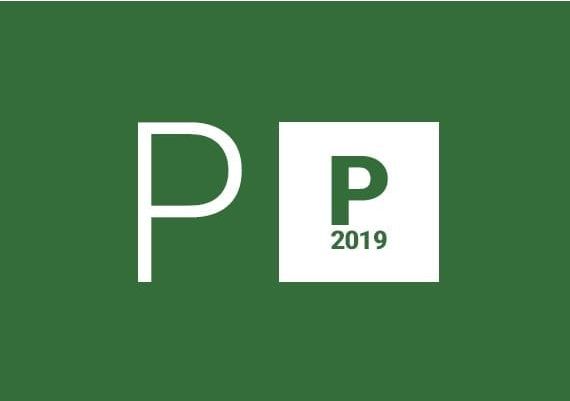 Project Professional 2019 EN Global MS Products Digital Key