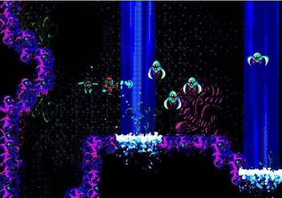 OUTBUDDIES EN Global Steam Digital Key