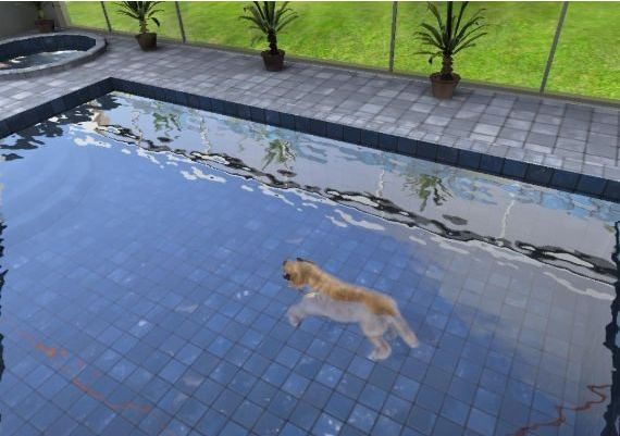 Paws and Claws: Pampered Pets EN Global Steam Digital Key