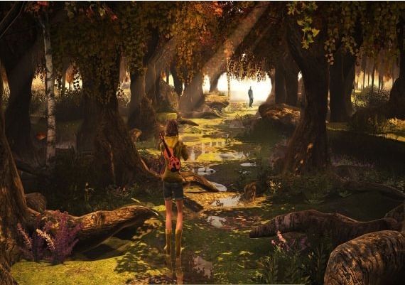 Distortions EN/PT Global Steam Digital Key