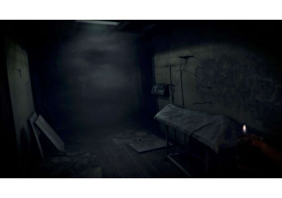 Hektor EN Global Steam Digital Key