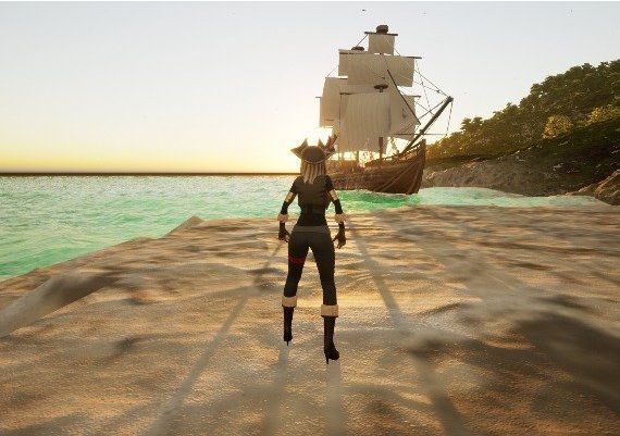 Epic Pirate EN Global Steam Digital Key