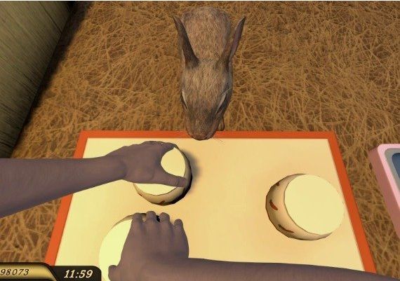 Pets Hotel Global Steam Digital Key