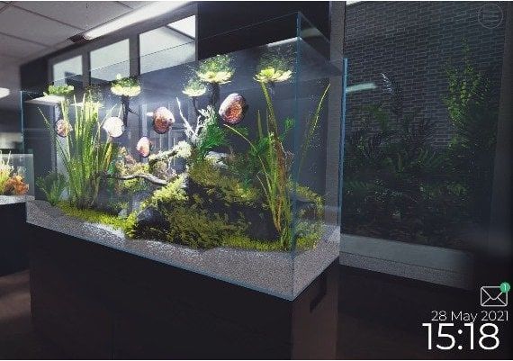 Aquarist EU Steam Digital Key