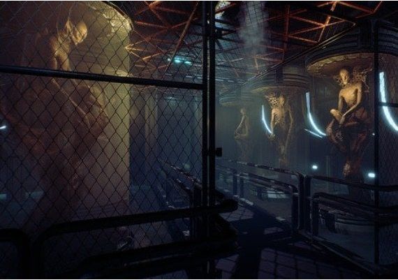 Transient Extended Edition Turkey Xbox One/Series Digital Key