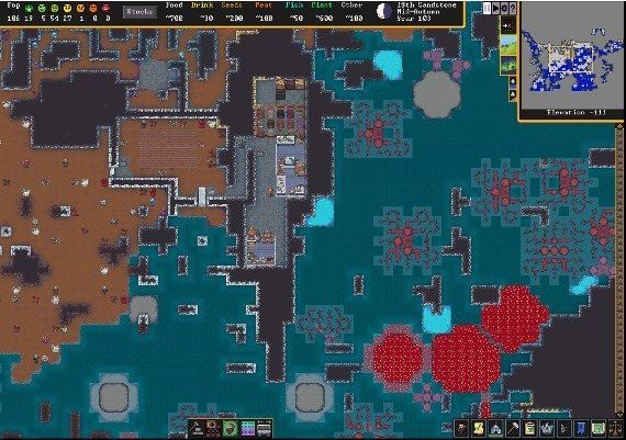 Dwarf Fortress EN Global Steam Digital Key