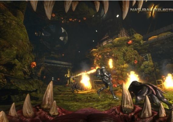 Natural Selection 2 EN/DE/FR/IT Global Steam Digital Key