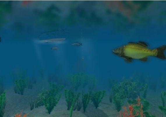 European Fishing EN/DE/PL Global Steam Digital Key