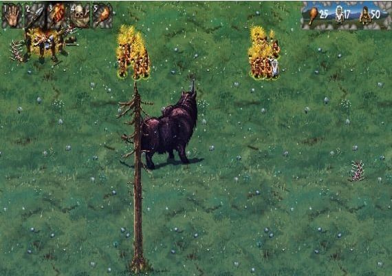 Tribal Pass EN Argentina Xbox One/Series Digital Key