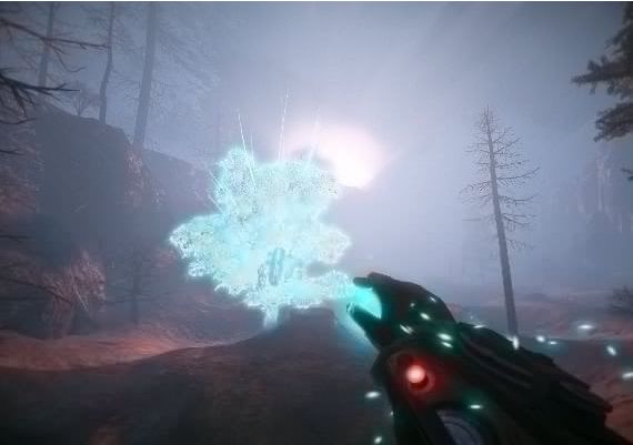 Valley EN Brazil Xbox One/Series Digital Key