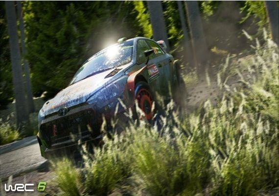 WRC 6: FIA World Rally Championship EN/DE/FR/IT/ES Global Steam Digital Key