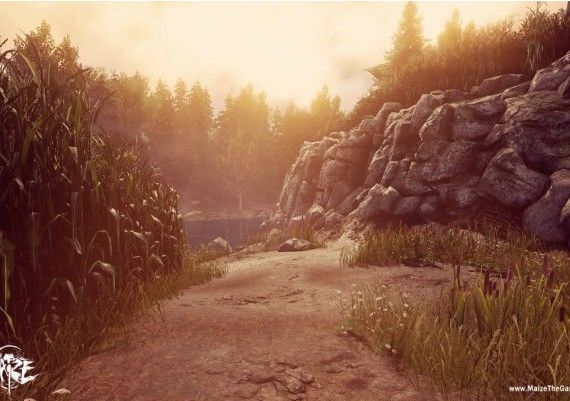 Maize EN Global Steam Digital Key