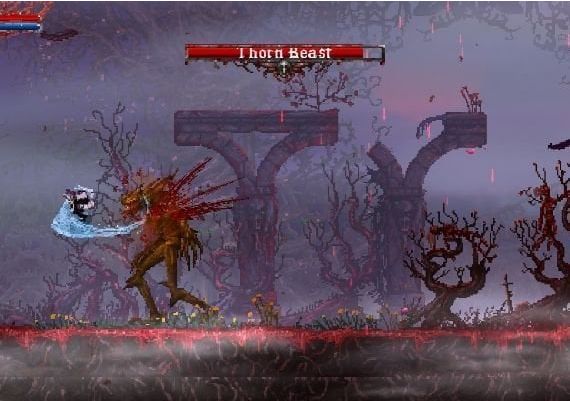 Slain: Back from Hell EN United States Xbox One/Series Digital Key