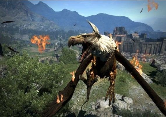 Dragon's Dogma: Dark Arisen EN EMEA Steam Digital Key