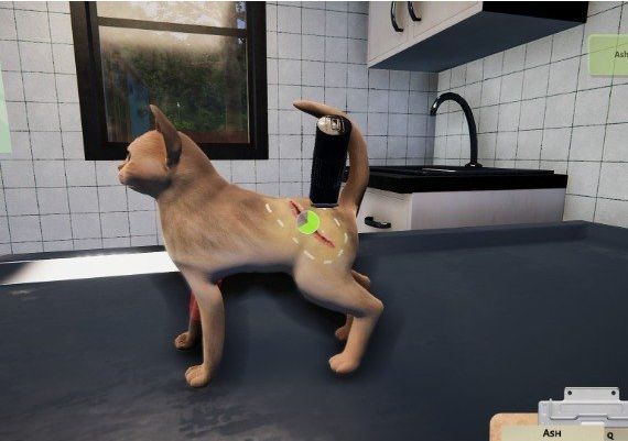 Animal Shelter: Puppies and Kittens DLC Global Steam Digital Key