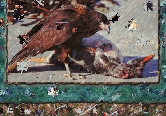 Pixel Puzzles 2: Birds EN Global Steam Digital Key