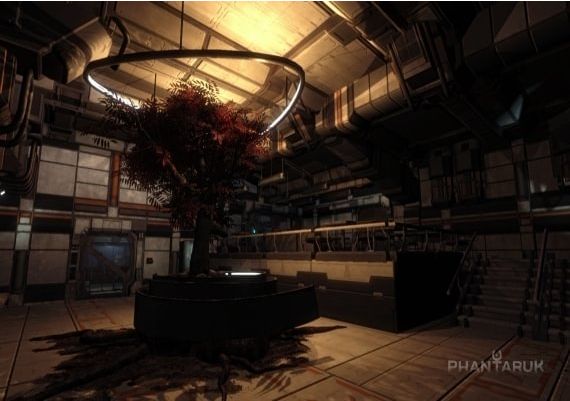 Phantaruk EN/DE/PL/RU Global Steam Digital Key