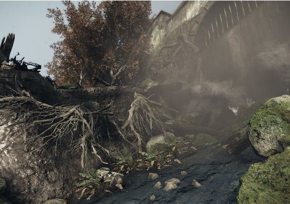 The Lost Valley EN/DE/FR/IT/PL/RU/ES/UK Global Steam Digital Key