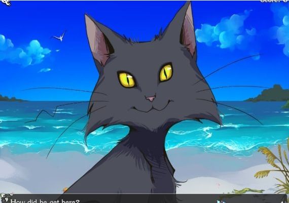 Heileen 2: The Hands Of Fate EN Global Steam Digital Key