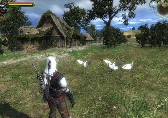 The Witcher: - Director's Cut Enhanced Edition EN/DE/FR/IT/ES Global GOG Digital Key