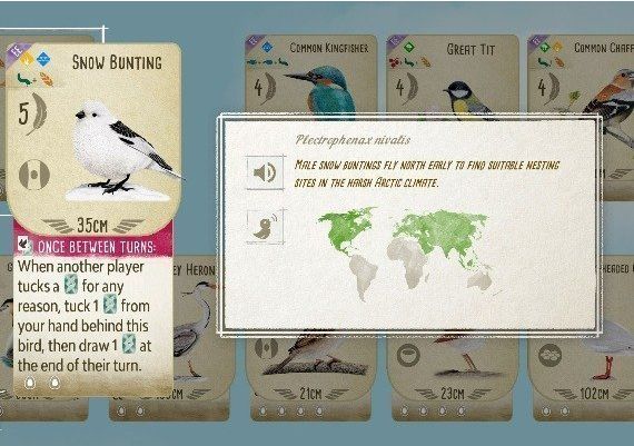 Wingspan + European Expansion - Bundle EN Argentina Xbox One/Series Digital Key