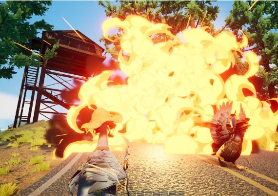 Duckside Global Steam Digital Key