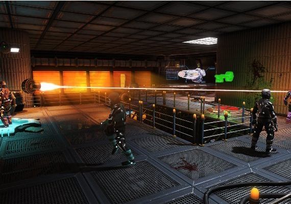 Project Temporality EN/ES Global Steam Digital Key