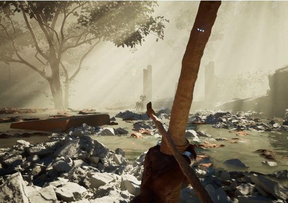 The Axis Unseen EN Global Steam Digital Key