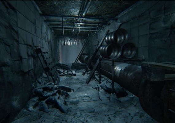 Investigator EN Global Steam Digital Key