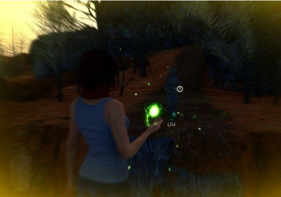 Fira EN/ES Global Steam Digital Key