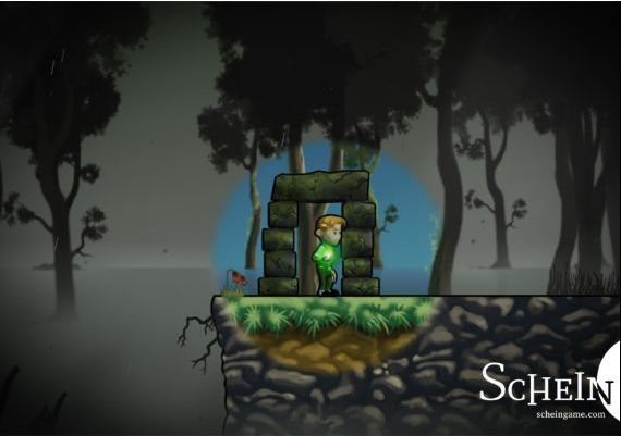 Schein EN/DE/FR/ES Global Steam Digital Key