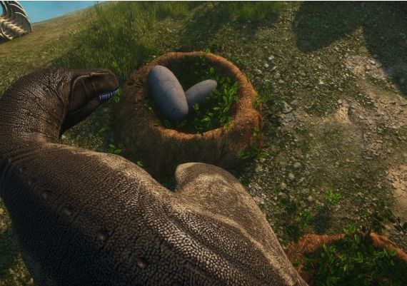 Beasts of Bermuda - Steam Account EN Global Steam Digital Key