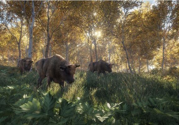 theHunter: Call of the Wild - Starter Bundle EN/DE/FR/PT/RU Global Steam Digital Key