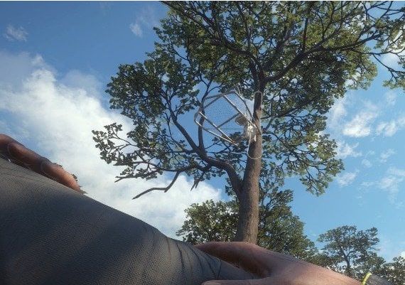 theHunter: Call of the Wild - Treestand & Tripod Pack DLC EU Steam Digital Key