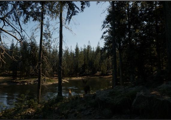 Evergreen: Mountain Life Simulator EN/DE/FR/IT/JA/RU/ZH/ES Global Steam Digital Key