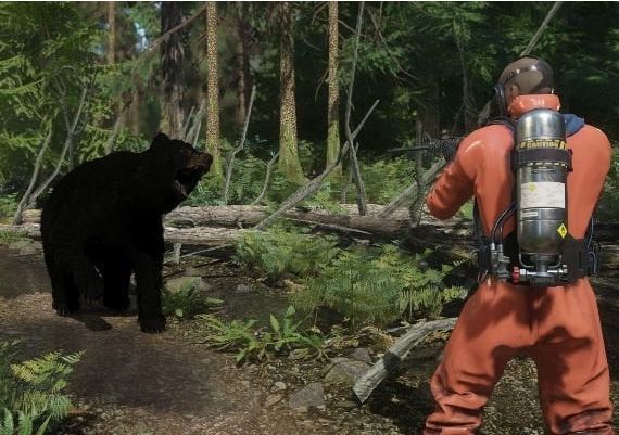 Miscreated EN North America Steam Digital Key