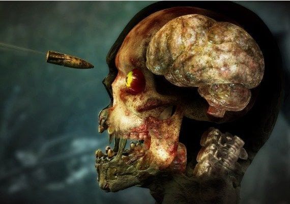 Zombie Army 4: Dead War - Mission 5 - Alpine Blitz DLC EN EU Xbox One/Series/Windows Digital Key