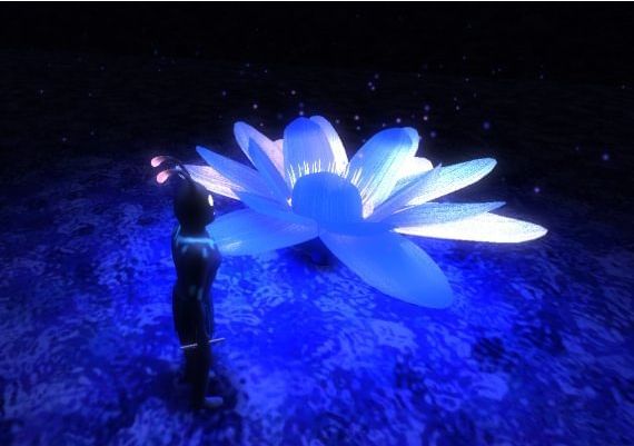 New Kind of Adventure EN Global Steam Digital Key