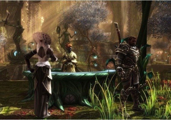 Kingdoms of Amalur: Re-Reckoning Fate Edition EN United States Xbox One/Series Digital Key