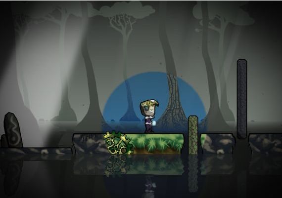 Schein EN/DE/FR/ES Global Steam Digital Key