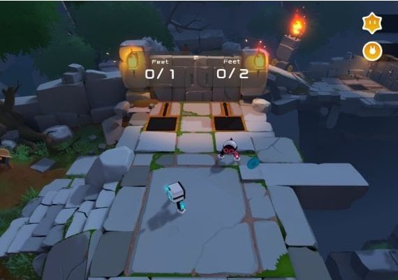 Biped ROW Steam Digital Key