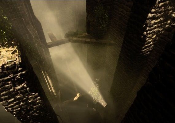 The Woods: VR Escape the Room EN Global Steam Digital Key