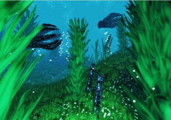 FarSky EN Global Steam Digital Key